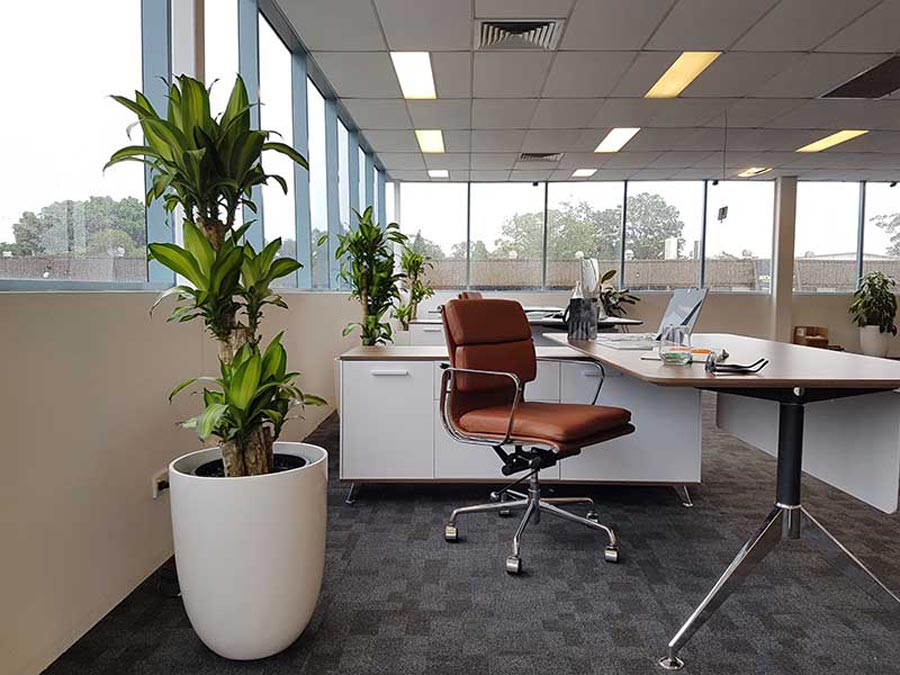 Phong cách thiết kế nội thất văn phòng hòa hợp thiên nhiên