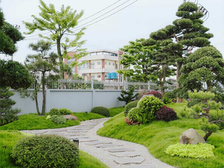 Vườn Nhật – linh hồn của không gian sống