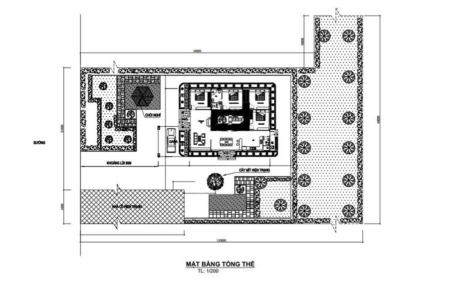 Tổ chức mặt bằng và bố cục không gian hài hòa