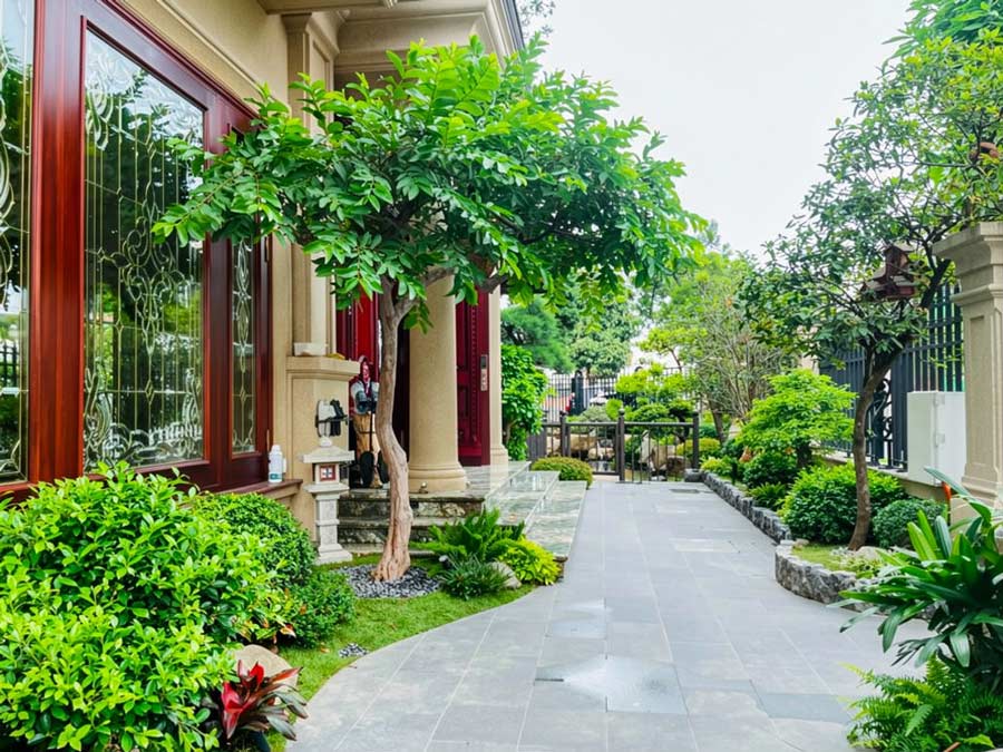 Cải tạo sân vườn, hồ bơi và cảnh quan