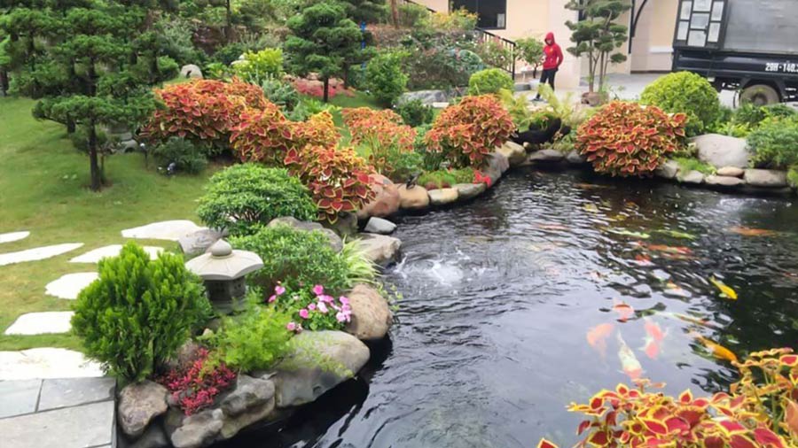 Những lợi ích thiết thực từ biệt thự sân vườn ao cá