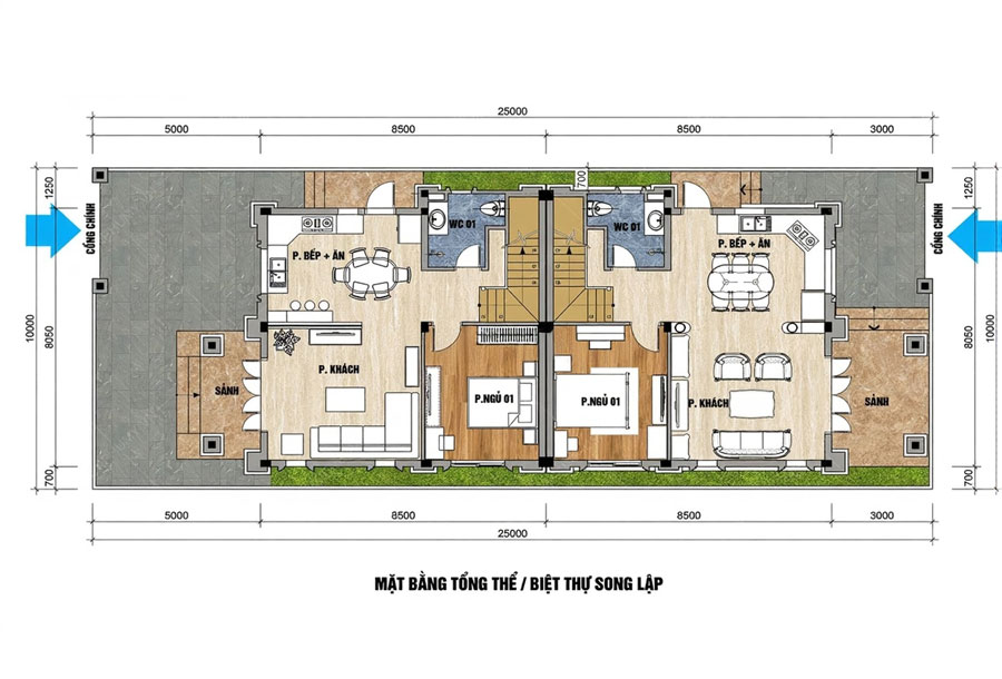 Thiết kế mặt bằng biệt thự song lập tân cổ điển