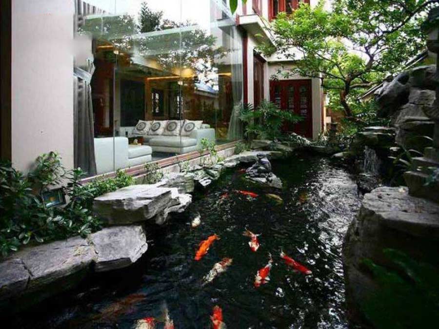 Biệt thự miền Tây có hồ cá Koi