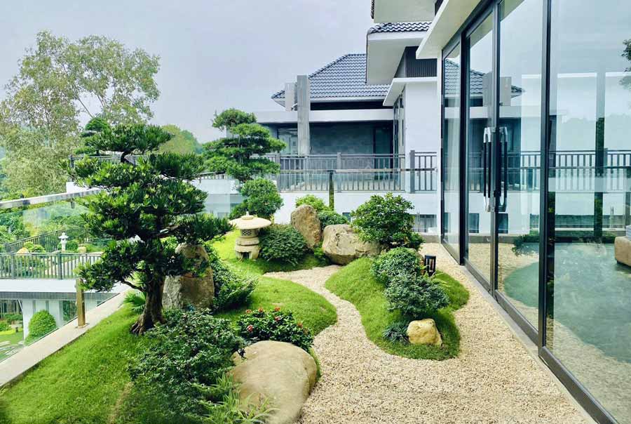 Cây xanh và tiểu cảnh